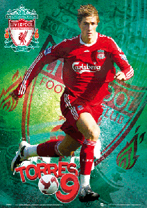 Liverpool FC 3D Lenticular Poster Fernando Torres 30 x 42cm