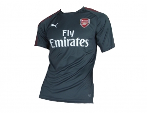 Arsenal London Trainingstrikot Puma 2017/18 Dark Shadow