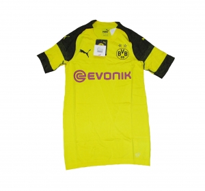 Borussia Dortmund Trikot Home Puma 2018/19 Player Issue Version EVOKNIT