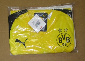 Borussia Dortmund Trikot Home Puma 2018/19 Player Issue Version EVOKNIT