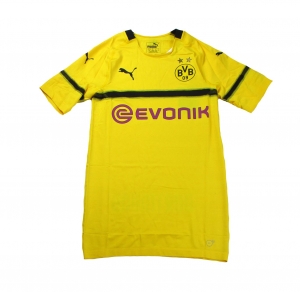 Borussia Dortmund Trikot Cup Puma 2018/19 Player Issue Version EVOKNIT