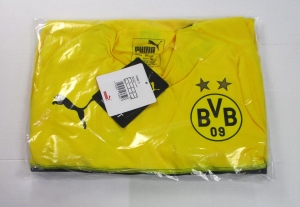 Borussia Dortmund Trikot Cup Puma 2018/19 Player Issue Version EVOKNIT