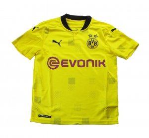 Borussia Dortmund Trikot Cup Puma 2020/21 Kindergröße