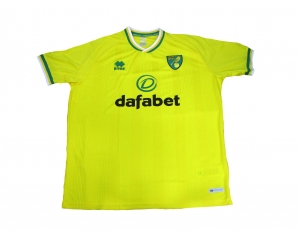 Norwich City Trikot Home 2020/21 Errea