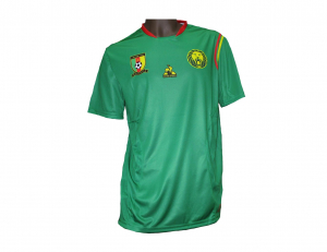 Kamerun Fanshirt Polyester 2022 Nationalmannschaft Home Le Coq Sportif